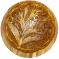 Курага Курага